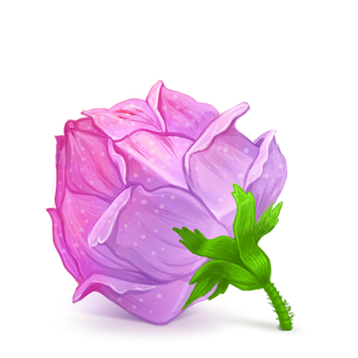 Transparent Rose Pink Purple Plant for Valentines Day