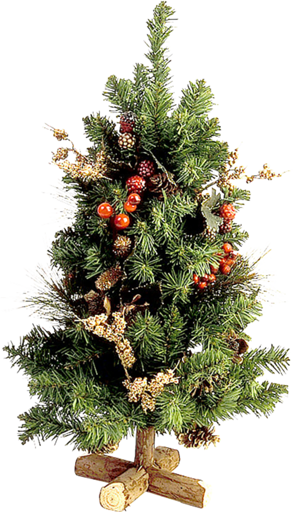 Transparent Christmas Tree Fir Tree Evergreen for Christmas