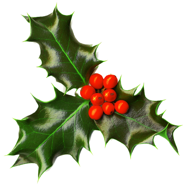Transparent Christmas Christmas Decoration Christmas And Holiday Season Plant Leaf for Christmas