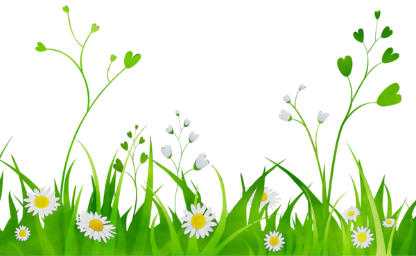 Transparent Drawing Common Daisy Cartoon Green Grass for Easter