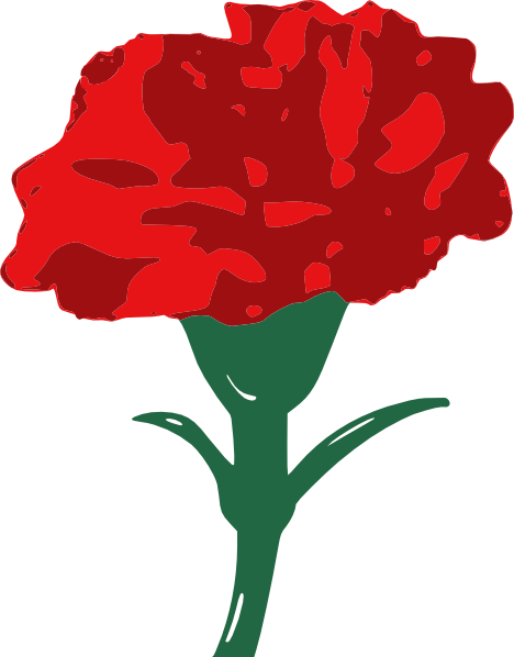Transparent Carnation Drawing Red Plant Flora for Valentines Day
