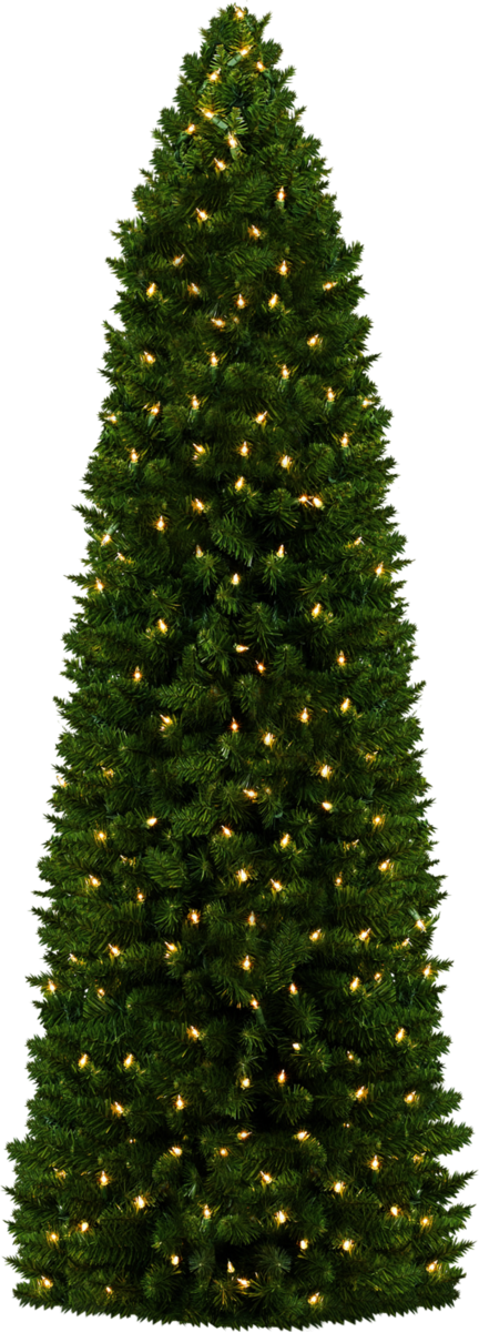 Transparent Christmas Tree Christmas Lights Tree Fir Pine Family for Christmas