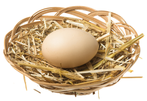 Transparent Easter Cake Egg Easter Basket Bird Nest for Easter