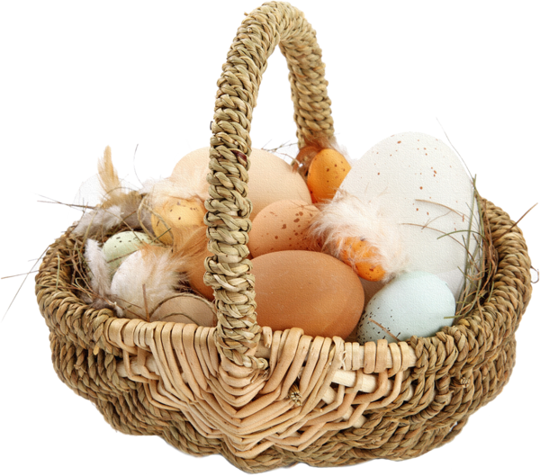 Transparent Surimi Terrine Egg Basket Storage Basket for Easter