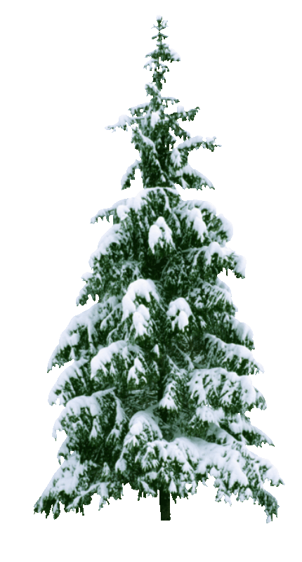 Transparent Christmas Tree Christmas Tree for Christmas