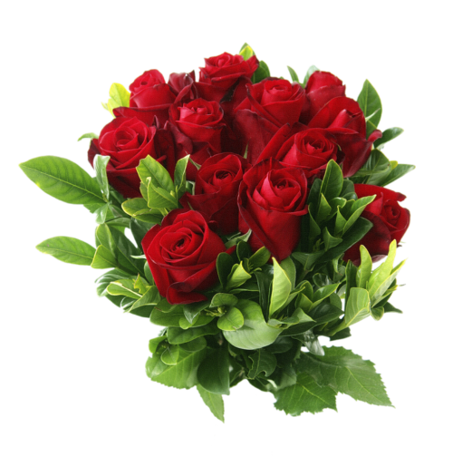 Transparent Flower Bouquet Flower Rose Garden Roses for Valentines Day