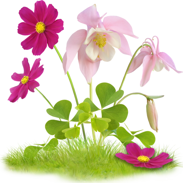 Transparent Flower Easter Hobby Plant Flora for Easter