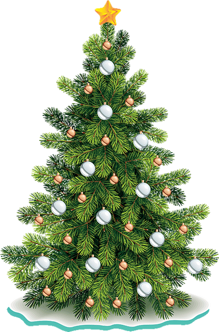 Transparent Christmas Tree Christmas Noble Fir Fir Pine Family for Christmas