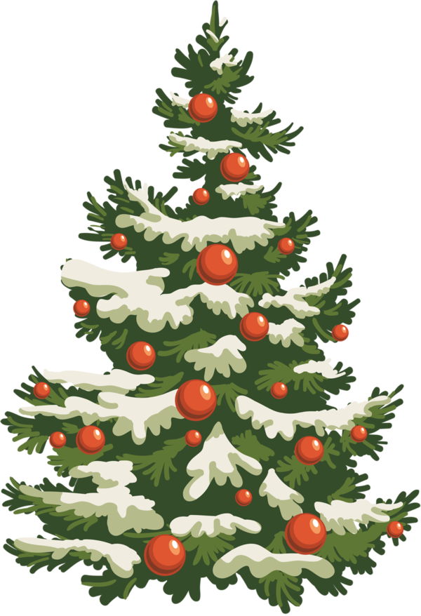 Transparent Christmas Christmas Tree Tree Fir Pine Family for Christmas