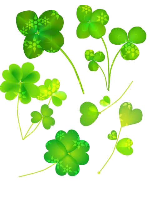 Transparent Fourleaf Clover Cdr Plant Flora for St Patricks Day
