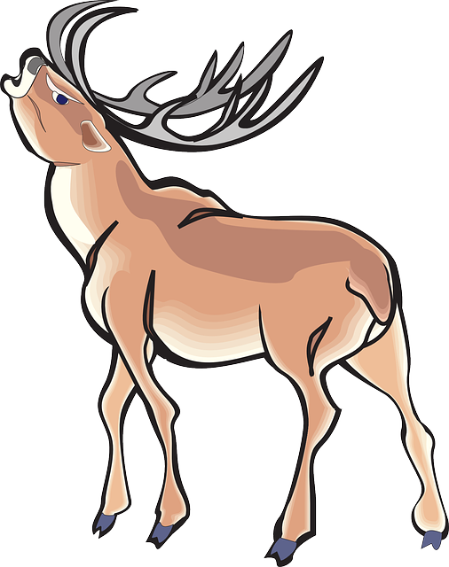 Transparent Deer Antler Line Art Antelope for Christmas