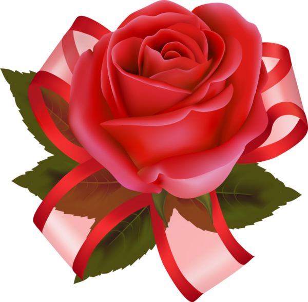 Transparent Garden Roses Flower Birthday Rose for Valentines Day
