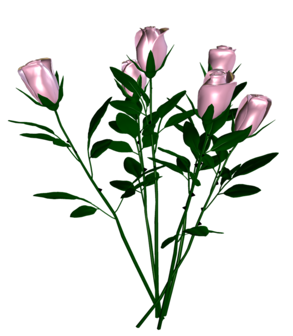 Transparent Cut Flowers Yökdil Flower Plant for Valentines Day