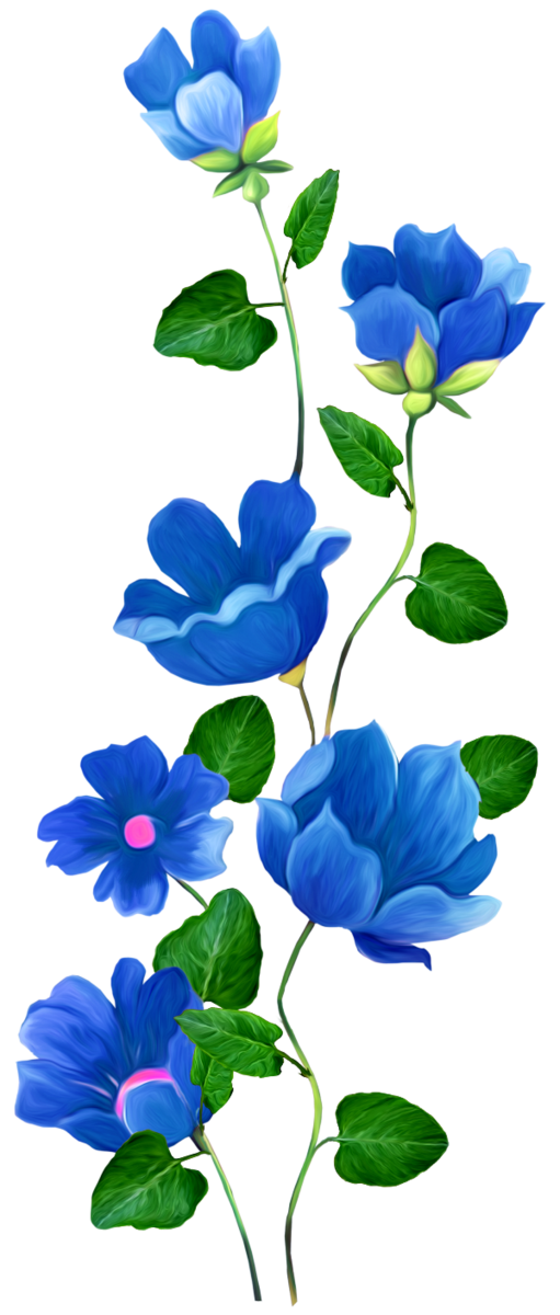 Transparent Flower Rose Blue Plant for Valentines Day