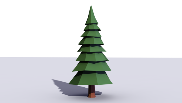 Transparent Fir Spruce Scots Pine Pine Family for Christmas