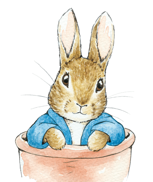 Transparent Peter Rabbit Tale Of Peter Rabbit Easter Bunny Rabbit Hare for Easter