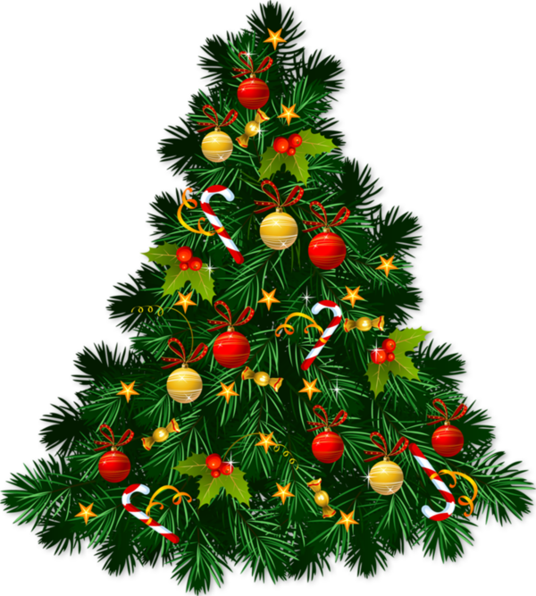 Transparent Christmas Tree Christmas Christmas Ornament Evergreen Pine Family for Christmas