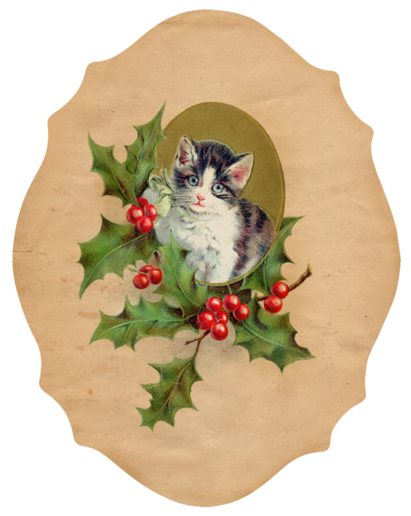 Transparent Cat Kitten Christmas Christmas Ornament Tree for Christmas
