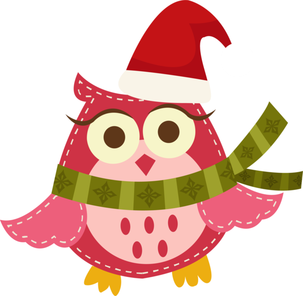 Transparent Santa Claus Owl Christmas Day Bird for Christmas