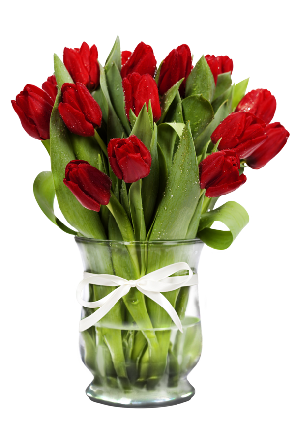 Transparent Tulip Cut Flowers Flower Plant for Valentines Day