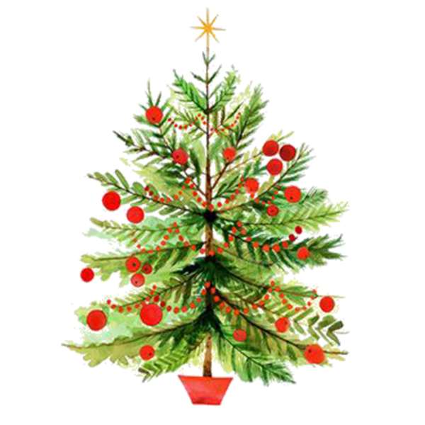 Transparent Christmas Tree Tree Christmas Card Fir Pine Family for Christmas