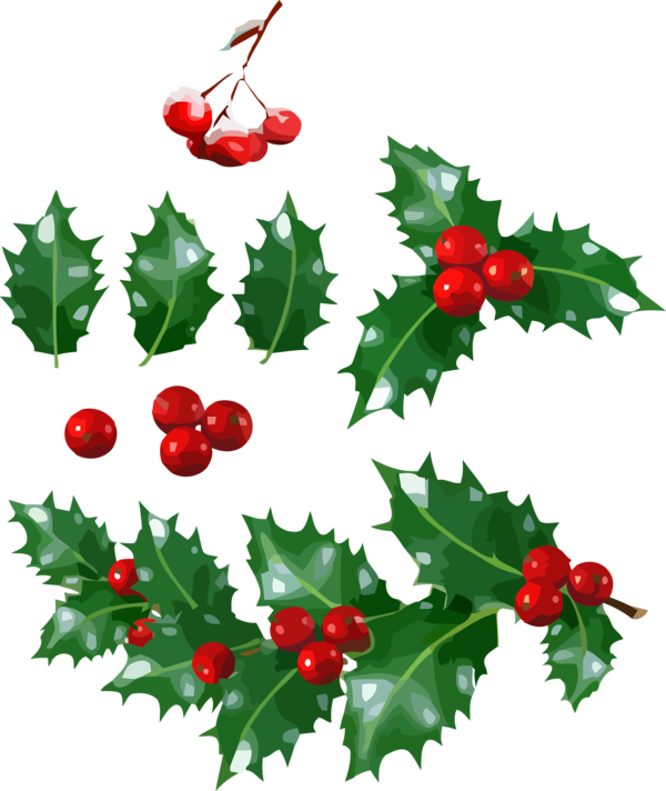 Transparent christmas Holly Plant Chinese hawthorn for Christmas Ornament for Christmas