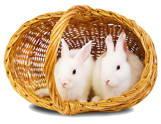 Transparent Hare Easter Bunny Rabbit Basket Snout for Easter