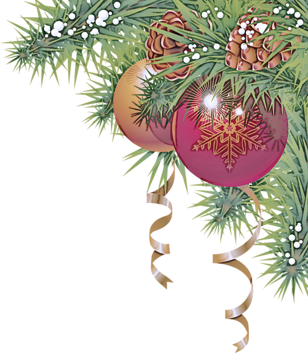 Transparent Oregon Pine Christmas Ornament Holiday Ornament for Christmas