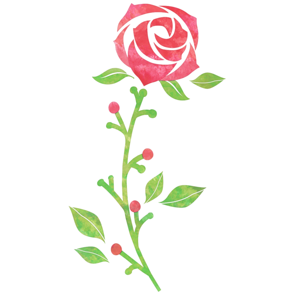 Transparent Rose Drawing Garden Roses Flower Red for Valentines Day
