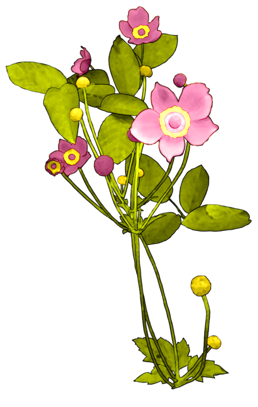 Transparent Flower Cut Flowers Floral Design Plant for Valentines Day