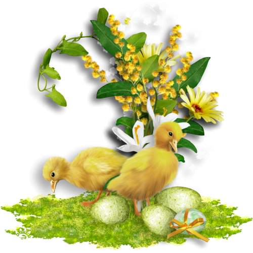 Transparent Paper Easter Page Flower Water Bird for Easter