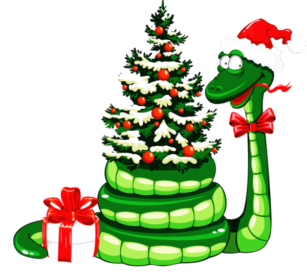 Transparent Snake Santa Claus Christmas Fir Pine Family for Christmas