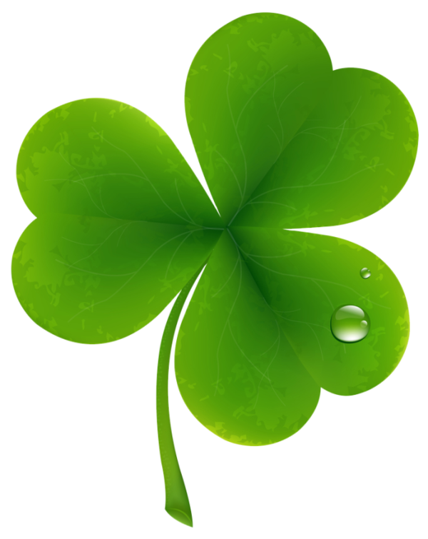 Fourleaf Clover Clover Shamrock Plant Leaf For St Patricks Day 636x800
