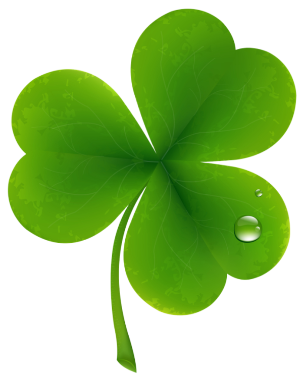 Transparent Fourleaf Clover Clover Shamrock Plant Leaf for St Patricks Day