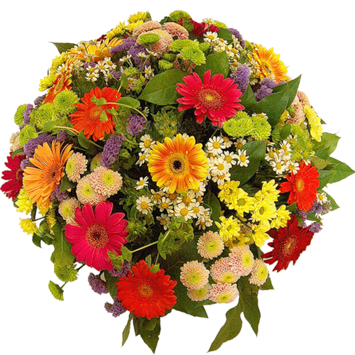 Transparent Flower Bouquet Florist Cut Flowers Plant Flower for Valentines Day