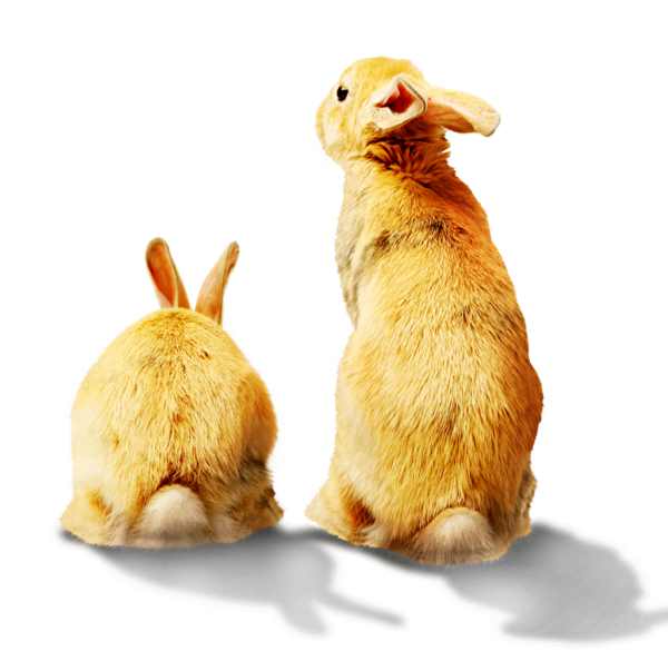 Transparent Midautumn Festival Moon Rabbit Rabbit Hare for Easter