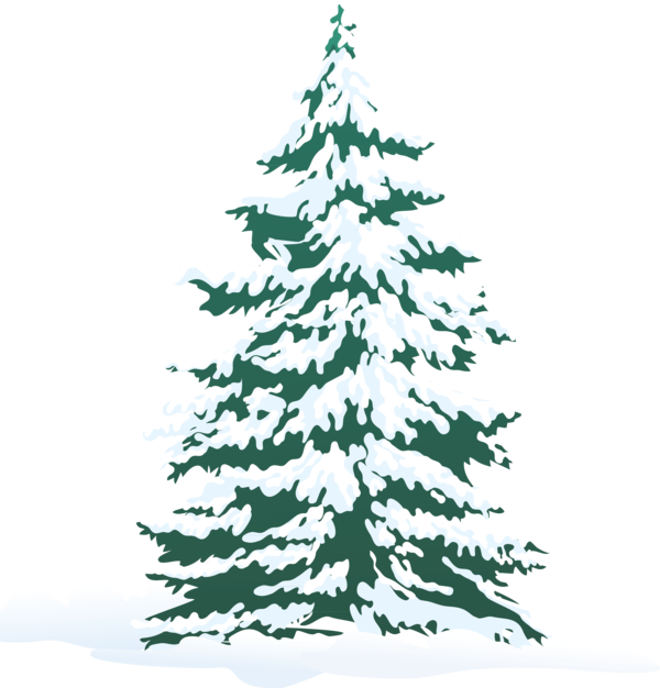 Transparent Christmas Christmas Tree Snow Fir Pine Family for Christmas