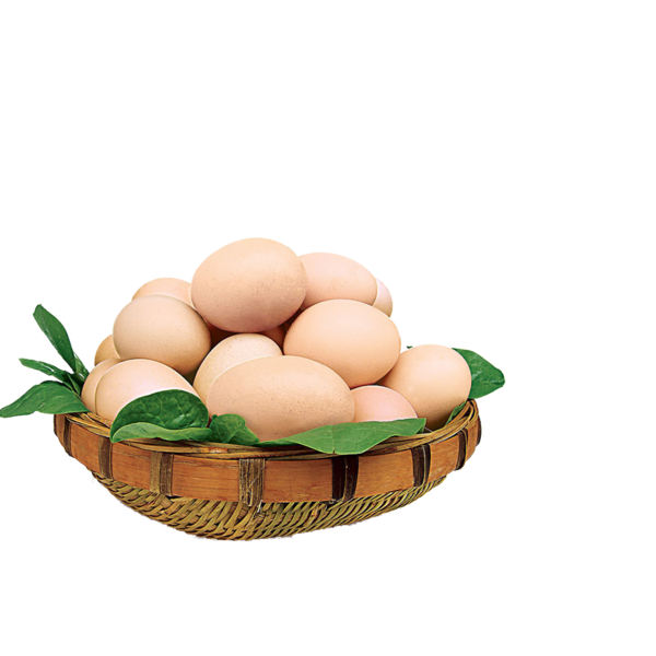 Transparent Chicken Chicken Egg Egg Food for Easter