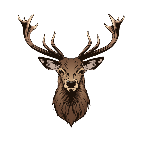 Transparent Deer Drawing Whitetailed Deer Horn Elk for Christmas
