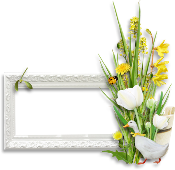 Transparent Picture Frames Floral Design Easter Plant Flower for Easter