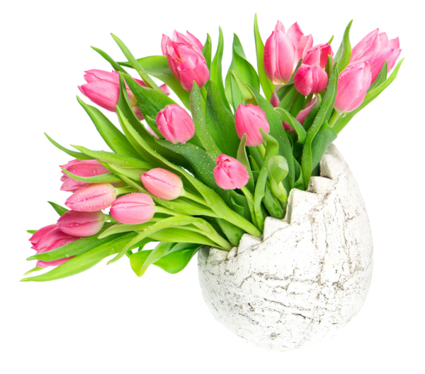 Transparent Tulip Flower Flower Bouquet Pink Plant for Easter