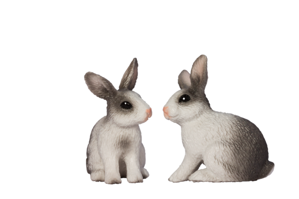 Transparent Easter Bunny Rabbit Leporids Hare for Easter