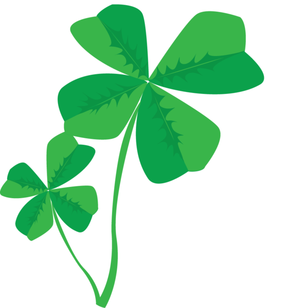Transparent Shamrock Fourleaf Clover Clover Leaf Green for St Patricks Day
