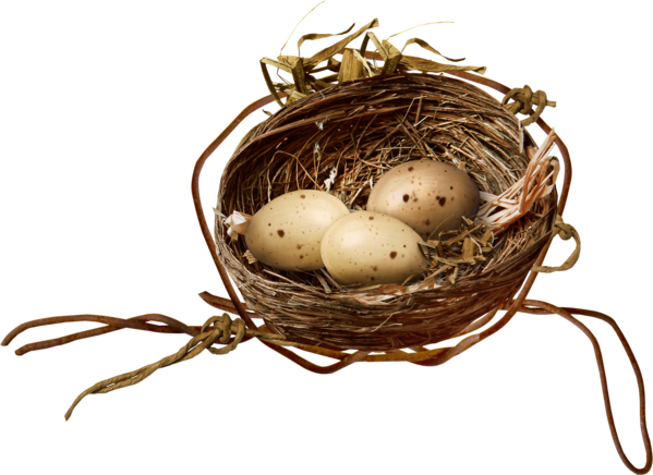 Transparent Bird Nest Egg for Easter