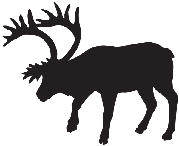 Transparent Deer Silhouette Muskox Elk Wildlife for Christmas
