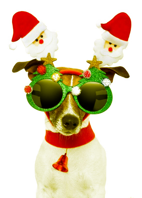Transparent Santa Claus Dog Christmas Eyewear Christmas Ornament for Christmas