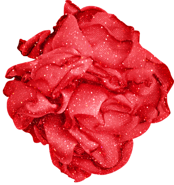 Transparent Garden Roses Centifolia Roses Flower Pink for Valentines Day