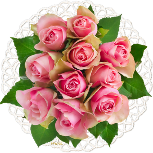 Transparent Flower Bouquet Rose Flower for Valentines Day