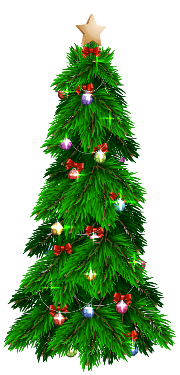 Transparent Christmas Tree Christmas Tree Evergreen Pine Family for Christmas