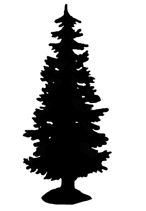Transparent Christmas Christmas Tree Silhouette Fir Pine Family for Christmas